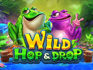 Wild Hop & Drop icon