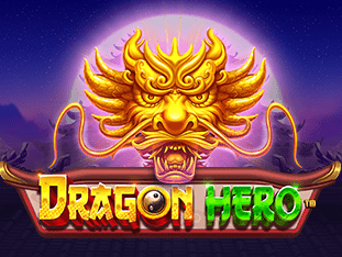 Dragon Hero icon
