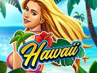 Hawaii icon