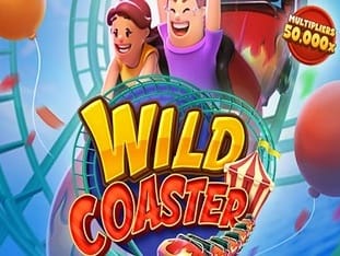 Wild Coaster icon
